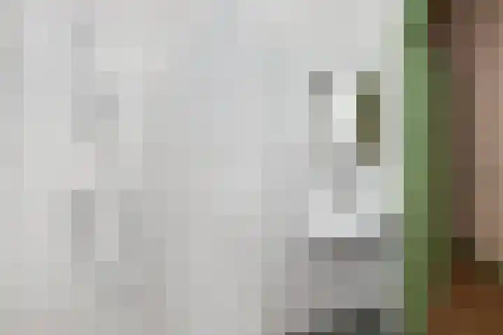 Berkelselaan 41 B Rotterdam thumbnail 25