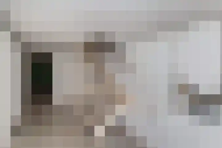Berkelselaan 41 B Rotterdam thumbnail 34