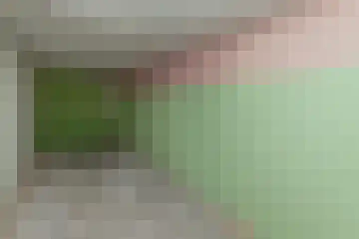 Berkelselaan 41 B Rotterdam thumbnail 36