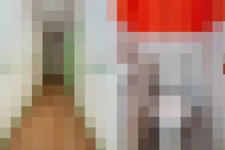 Berkelselaan 41 B Rotterdam thumbnail 7