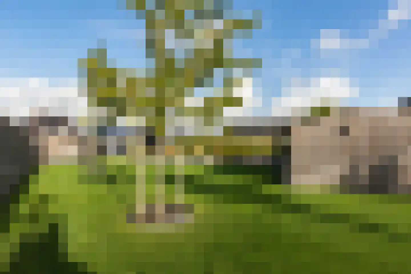 Berkelseweg 26 Pijnacker thumbnail 40