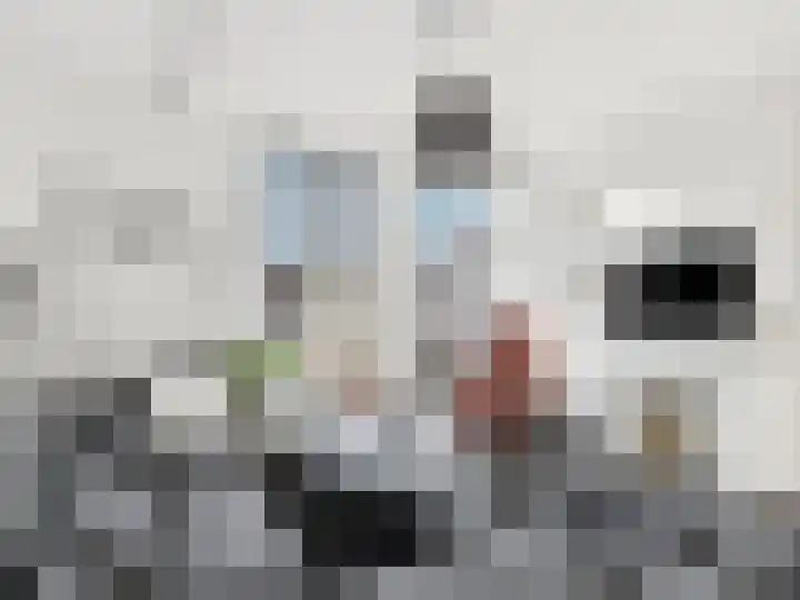 Berkelsingel 124 Zutphen thumbnail 8