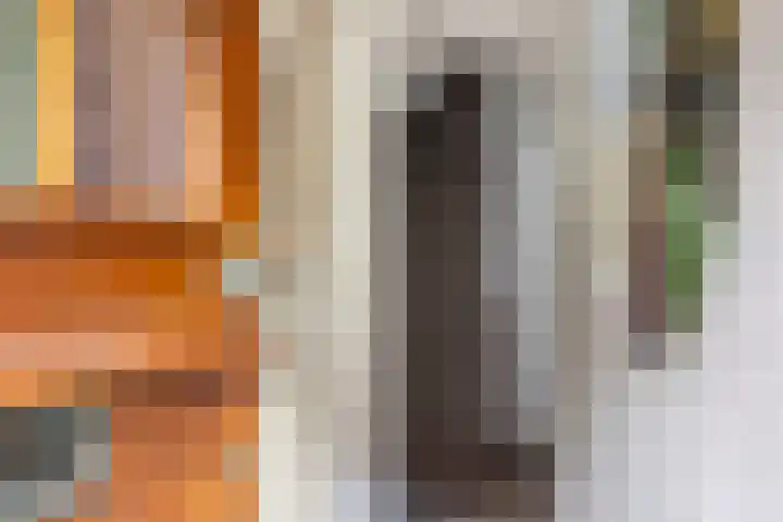 Berkelstraat 62 Utrecht thumbnail 4