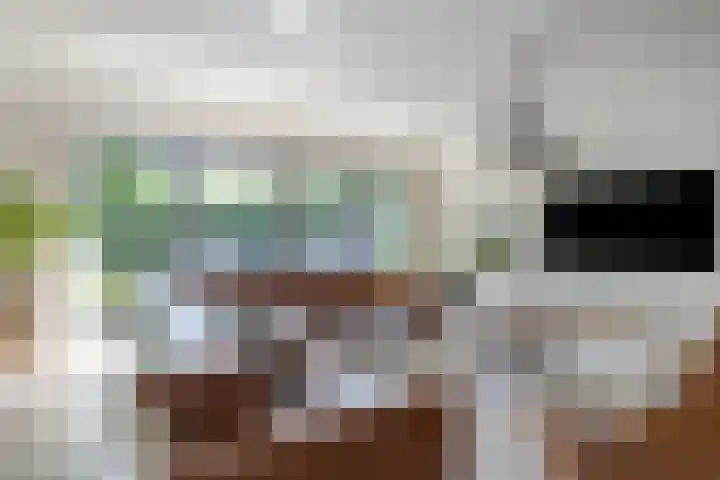 Berkelstroom 105 Zoetermeer thumbnail 21