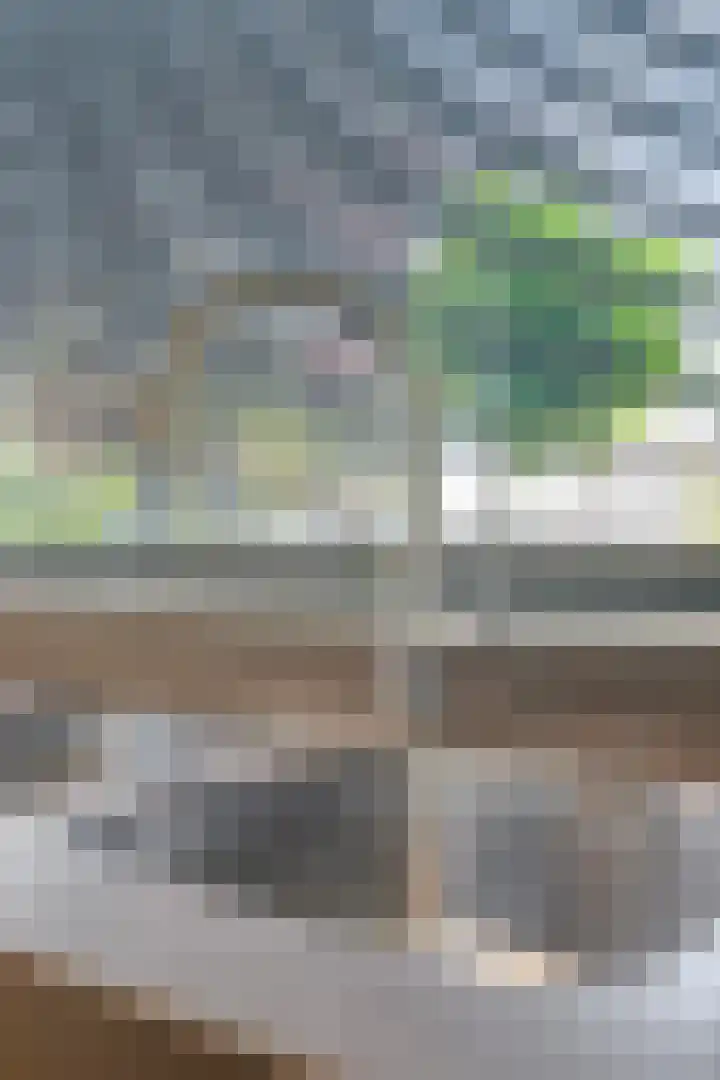 Berkelstroom 105 Zoetermeer thumbnail 33