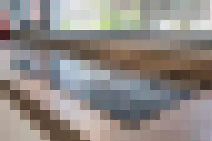 Berkelstroom 105 Zoetermeer thumbnail 35