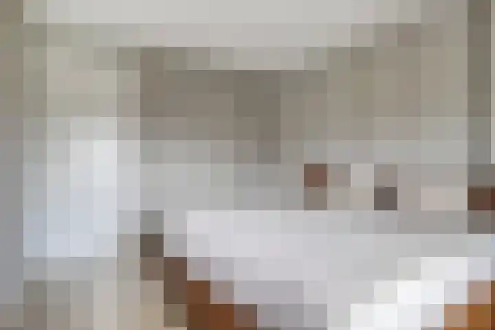 Berkelstroom 105 Zoetermeer thumbnail 42