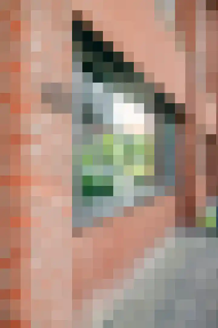 Berkelstroom 105 Zoetermeer thumbnail 6