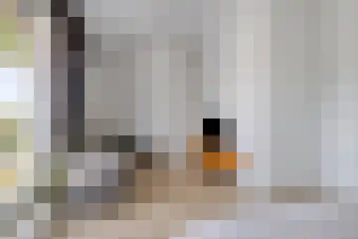 Berkelstroom 105 Zoetermeer thumbnail 61