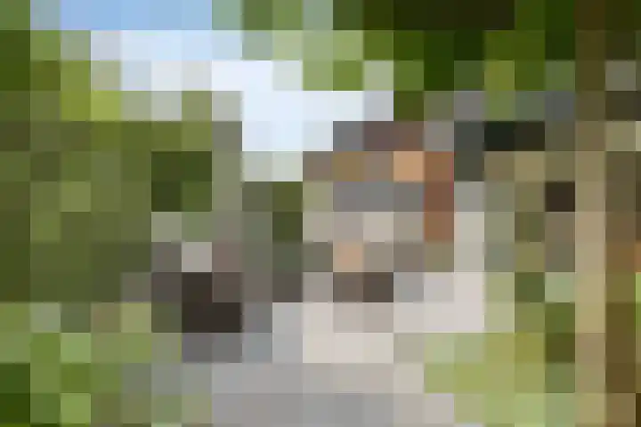 Berkelstroom 105 Zoetermeer thumbnail 78