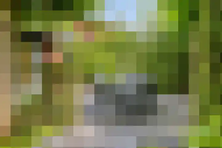 Berkelstroom 105 Zoetermeer thumbnail 79