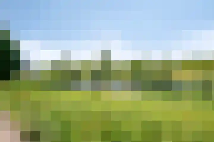 Berkelstroom 105 Zoetermeer thumbnail 86