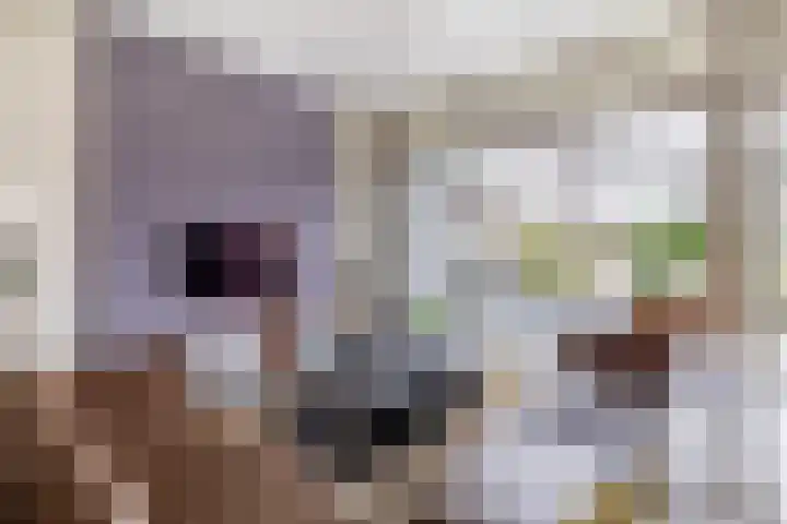 Berkelstroom 30 Zoetermeer thumbnail 14