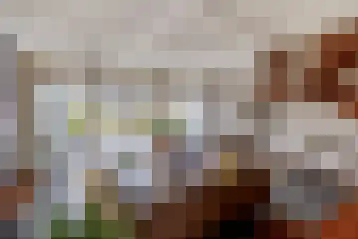 Berkelstroom 30 Zoetermeer thumbnail 20
