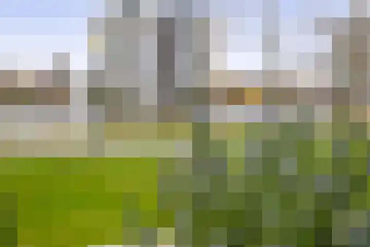 Berkelstroom 30 Zoetermeer thumbnail 29