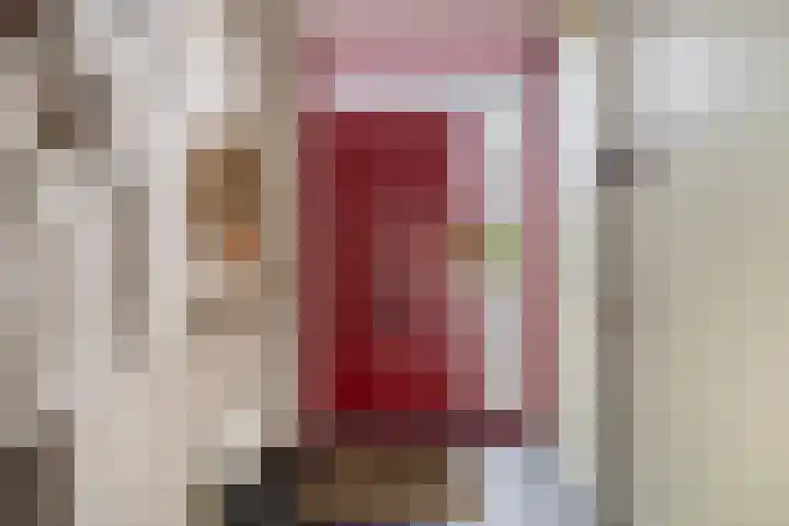 Berkelstroom 30 Zoetermeer thumbnail 9