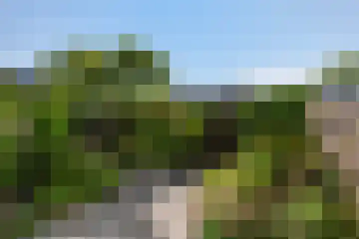 Berkendal 58 Maassluis thumbnail 4