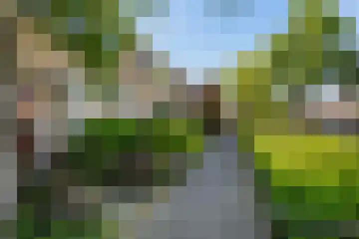 Berkendal 58 Maassluis thumbnail 42