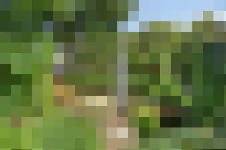 Berkendreef 127 Vlaardingen thumbnail 30