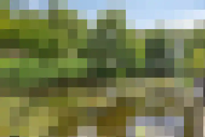 Berkendreef 127 Vlaardingen thumbnail 34