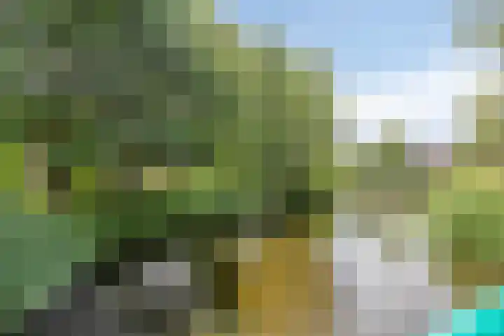 Berkendreef 127 Vlaardingen thumbnail 36