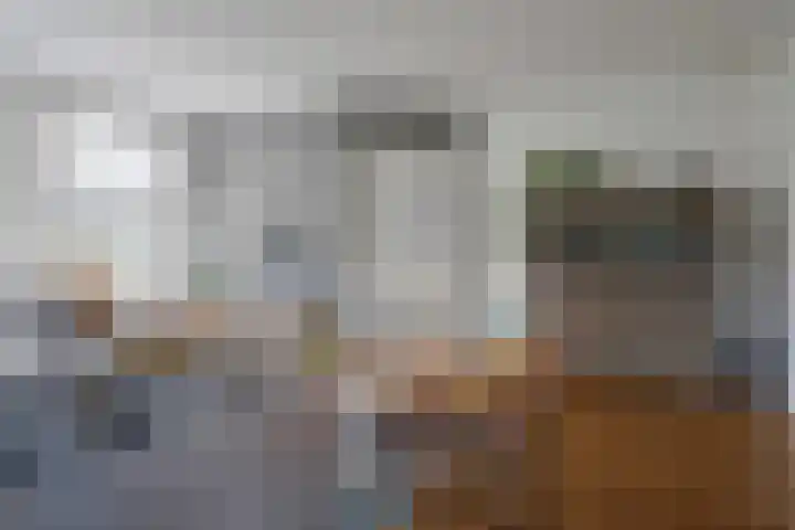 Berkengraaf 35 Bakel thumbnail 10