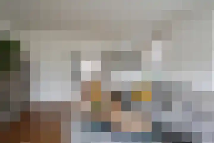 Berkengraaf 35 Bakel thumbnail 12