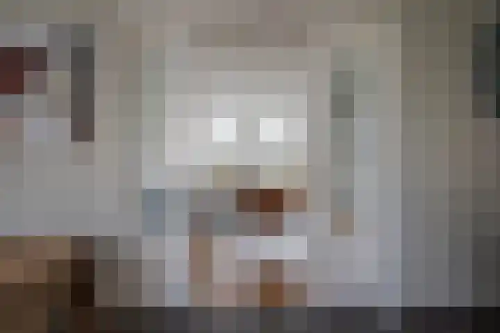 Berkengraaf 35 Bakel thumbnail 14