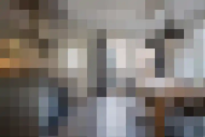 Berkengraaf 35 Bakel thumbnail 15