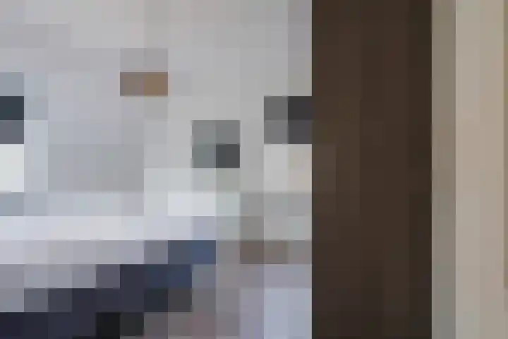 Berkengraaf 35 Bakel thumbnail 28