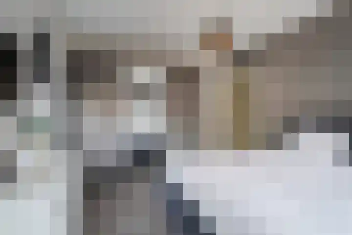 Berkengraaf 35 Bakel thumbnail 30