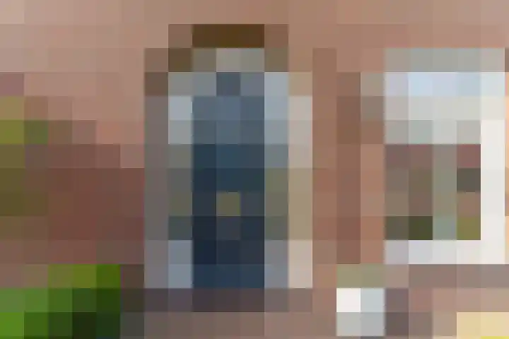 Berkengraaf 35 Bakel thumbnail 4