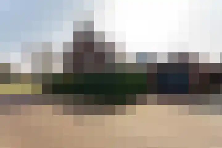 Berkengraaf 35 Bakel thumbnail 56
