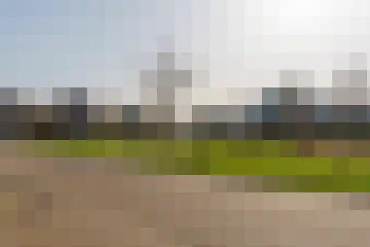 Berkengraaf 35 Bakel thumbnail 58