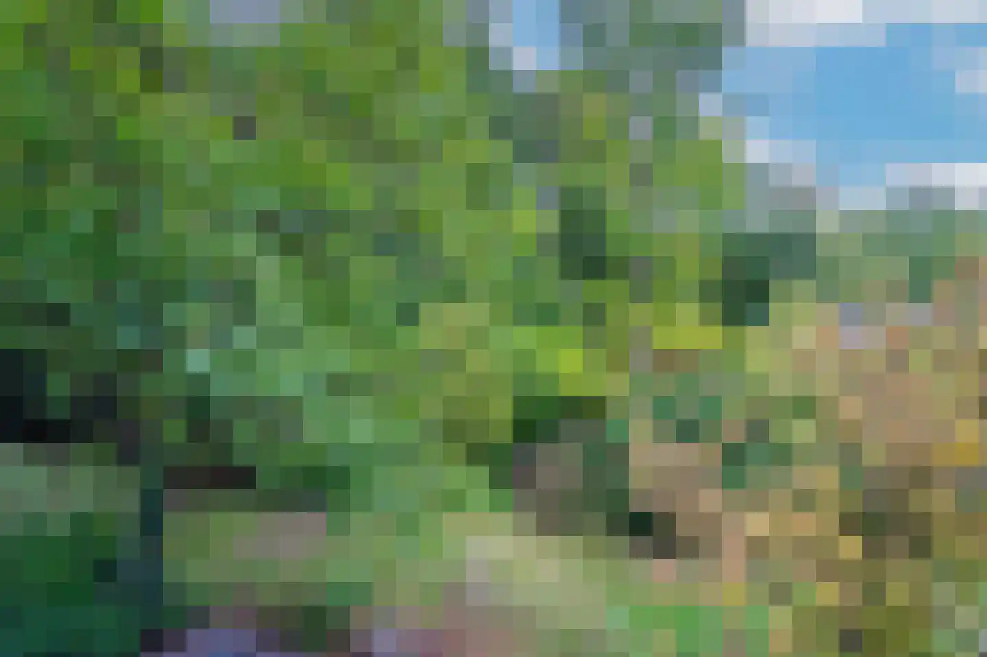 Berkenheuveldreef 11 Vught thumbnail 12