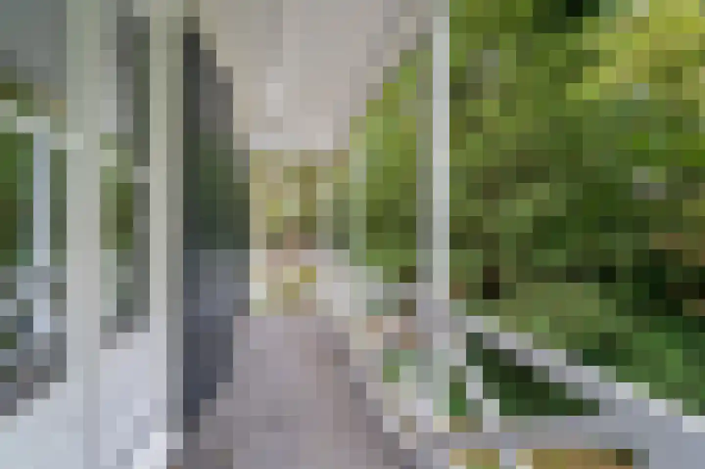 Berkenheuveldreef 11 Vught thumbnail 18