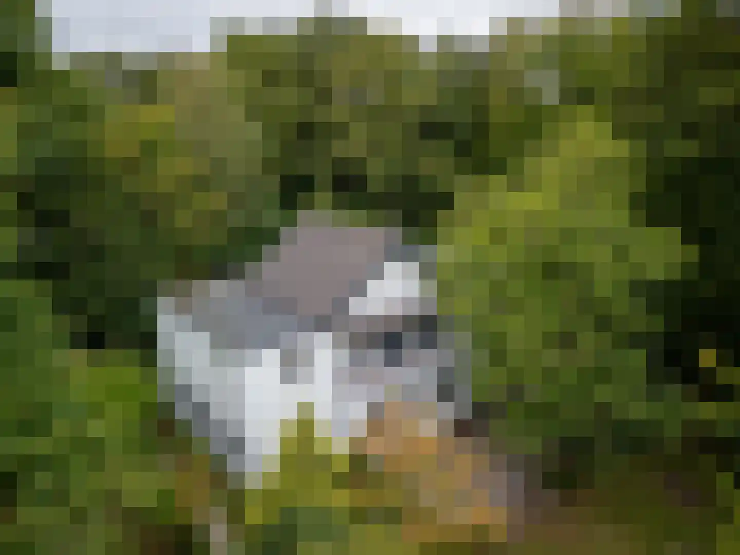 Berkenheuveldreef 11 Vught thumbnail 48