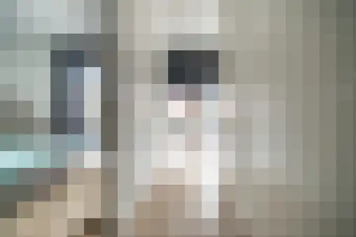 Berkenhof 11 Zoeterwoude thumbnail 16
