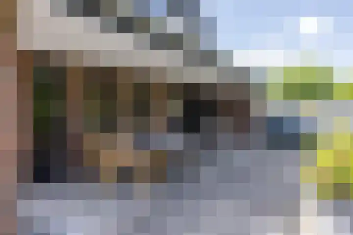 Berkenhof 7 Hulsberg thumbnail 38