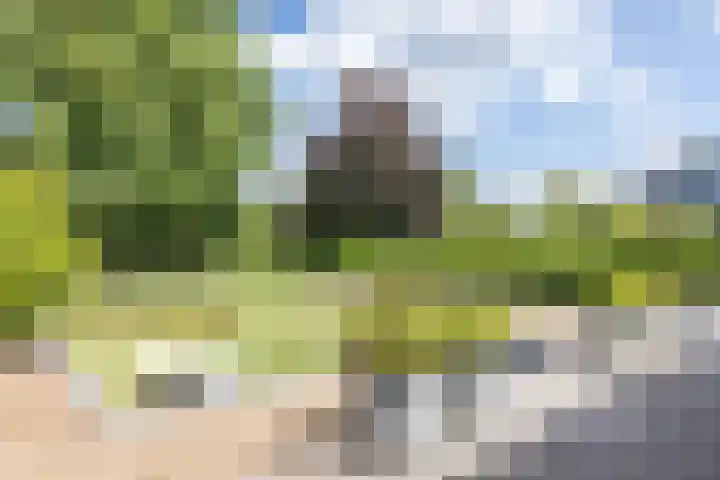 Berkenhof 7 Hulsberg thumbnail 39