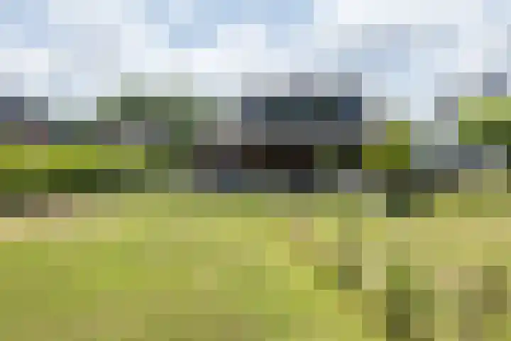Berkenhof 7 Hulsberg thumbnail 42