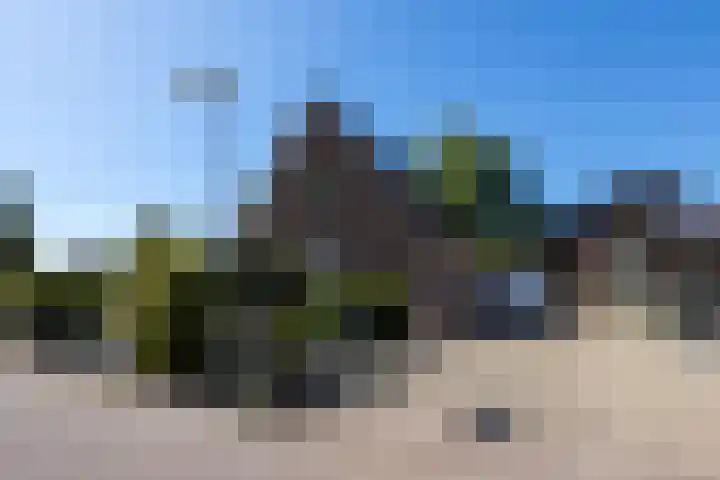 Berkenlaan 1 in Nieuwe Pekela