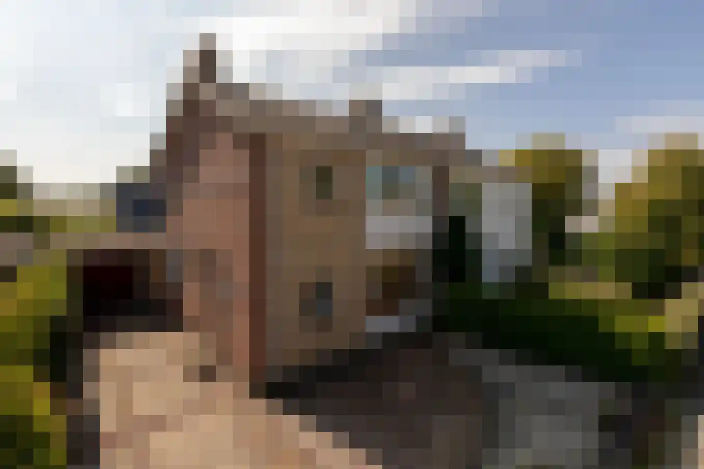 Berkenlaan 11 Sneek