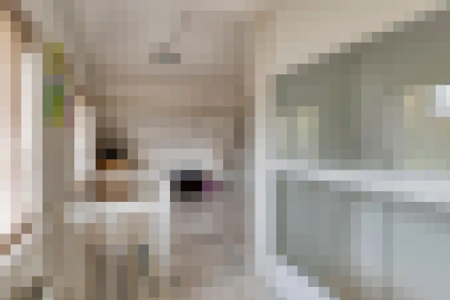 Berkenlaan 112 Silvolde thumbnail 19