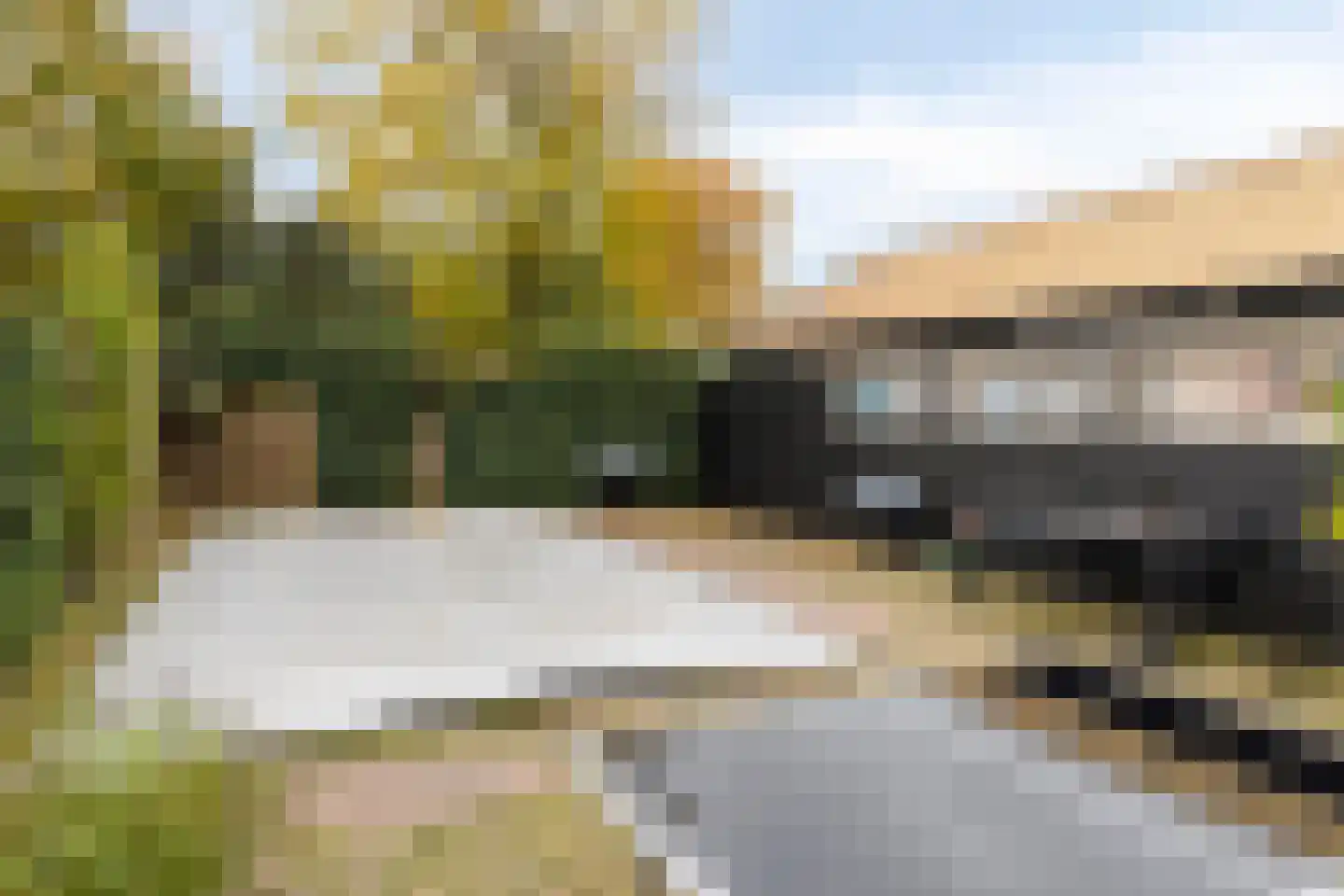Berkenlaan 112 Silvolde thumbnail 25