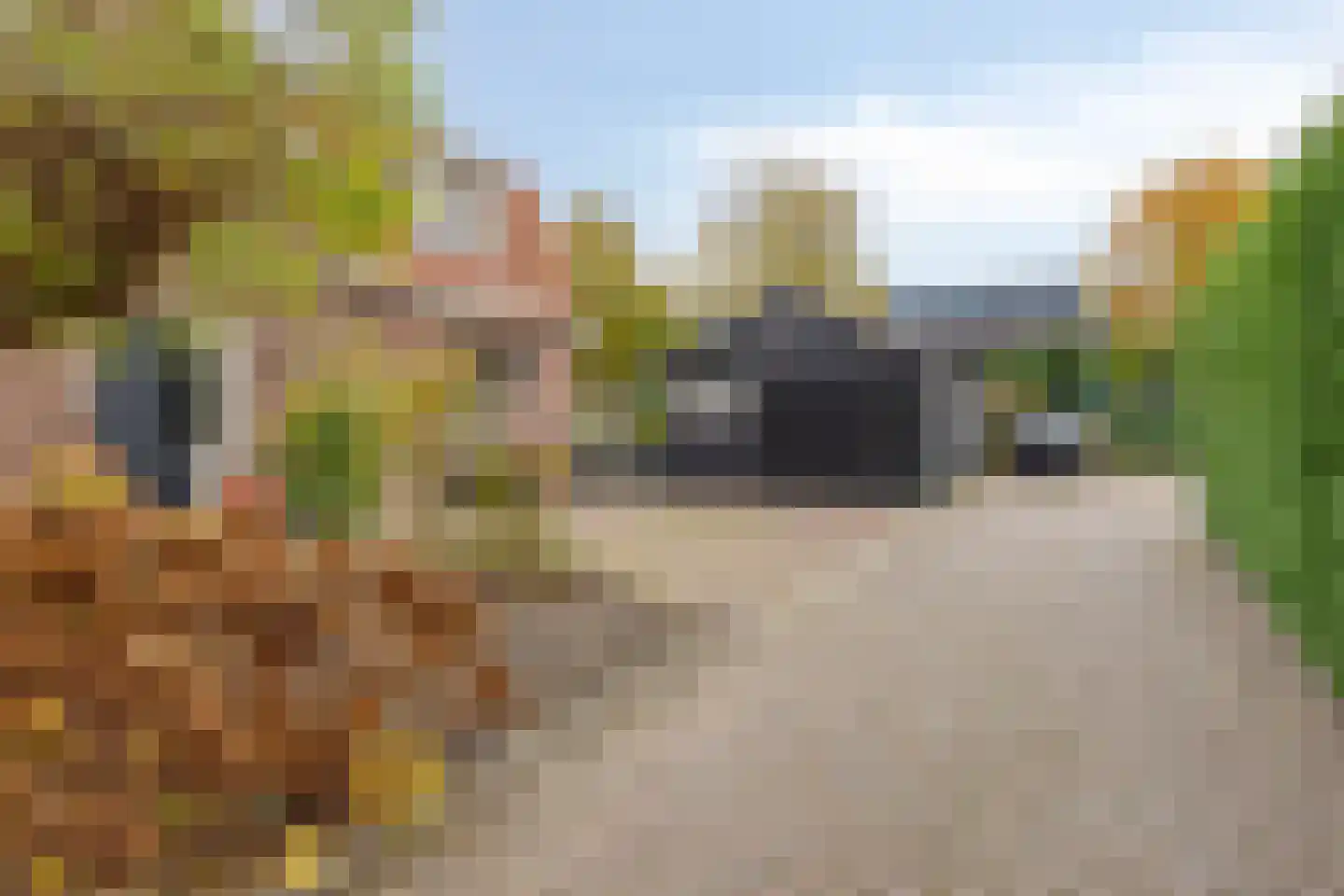 Berkenlaan 112 Silvolde thumbnail 31