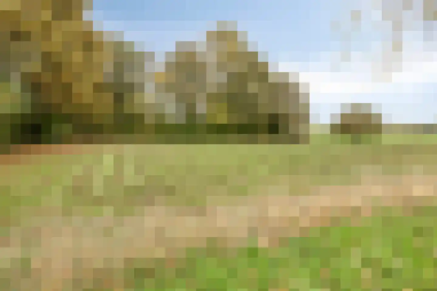 Berkenlaan 112 Silvolde thumbnail 35