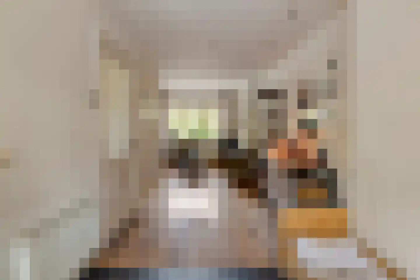 Berkenlaan 112 Silvolde thumbnail 7