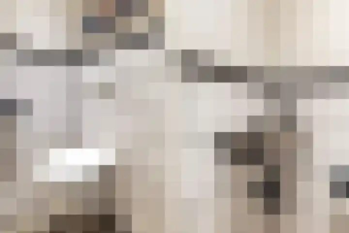 Berkenlaan 12 Harmelen thumbnail 13