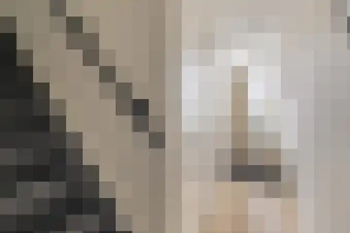 Berkenlaan 12 Harmelen thumbnail 14